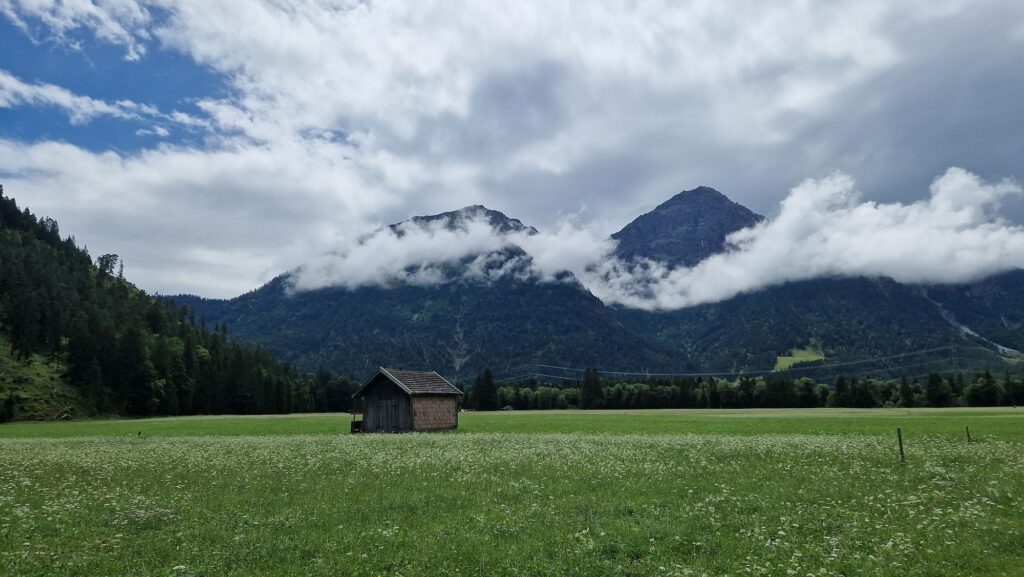 Hütte auf Wiese in Alpnetal